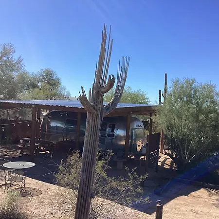 Vintage Airstream Lola Saguaro National Park