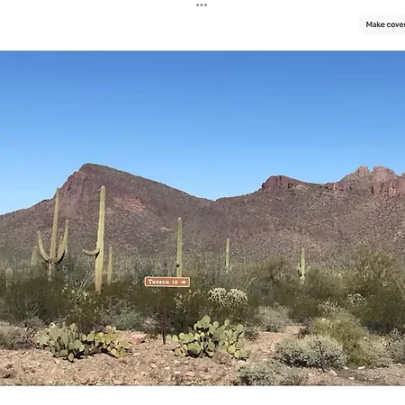 Vintage Airstream Lola Saguaro National Park