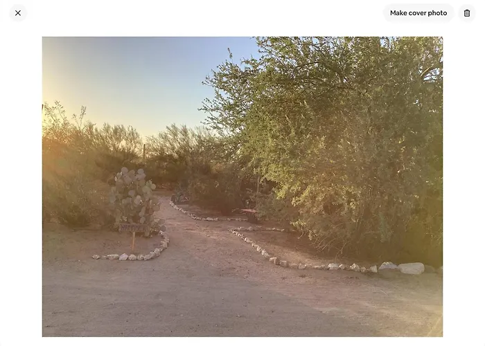 Vintage Airstream Lola Saguaro National Park 3*