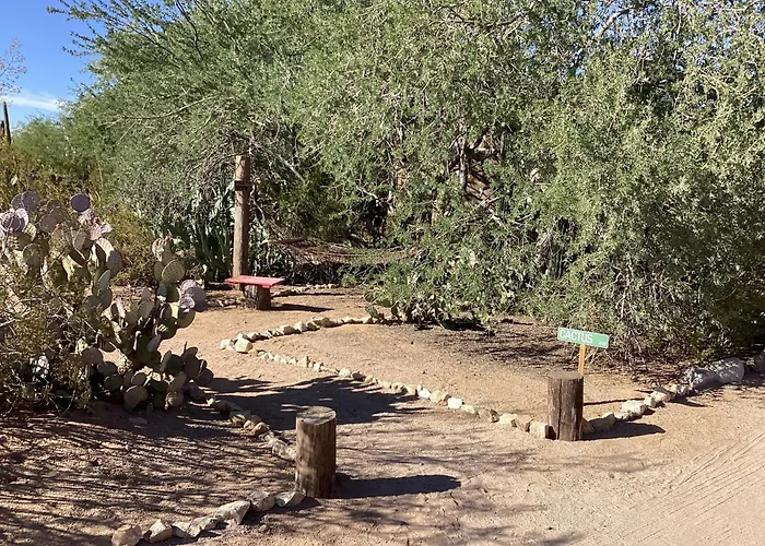 Vintage Airstream Lola Saguaro National Park Avra