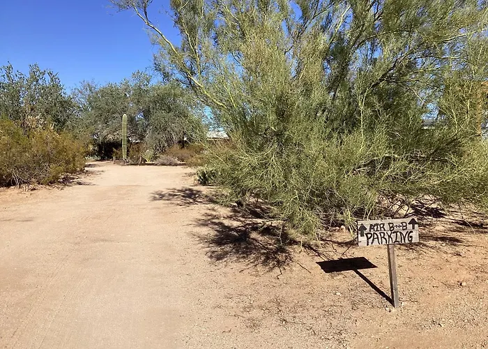 Vintage Airstream Lola Saguaro National Park