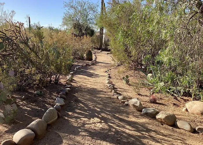 Vintage Airstream Lola Saguaro National Park 3* Avra