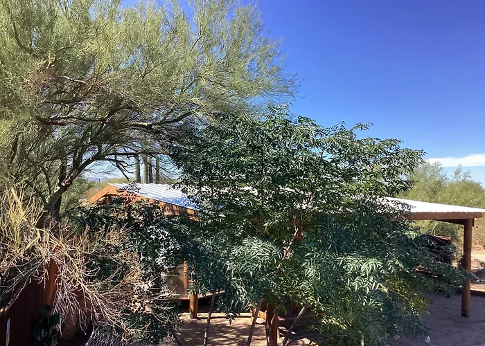 Guest house Vintage Airstream Lola Saguaro National Park 3*
