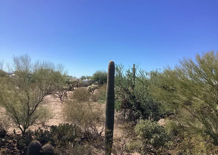 Vintage Airstream Lola Saguaro National Park