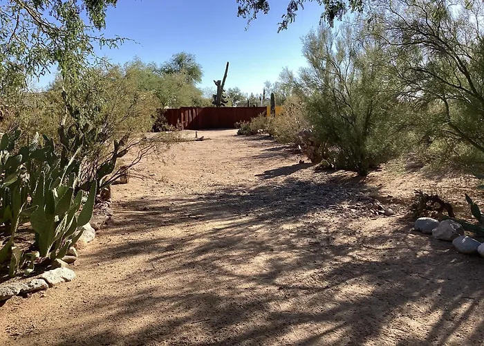 Vintage Airstream Lola Saguaro National Park 3*