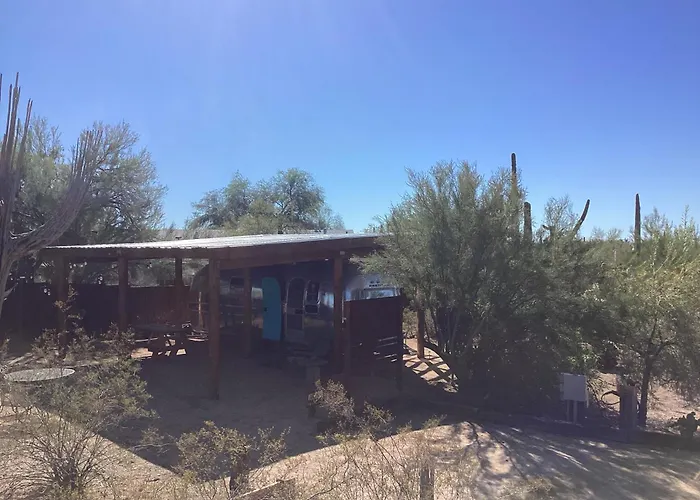 Vintage Airstream Lola Saguaro National Park 3*