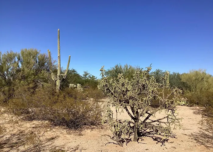 Vintage Airstream Lola Saguaro National Park Guest house 3*
