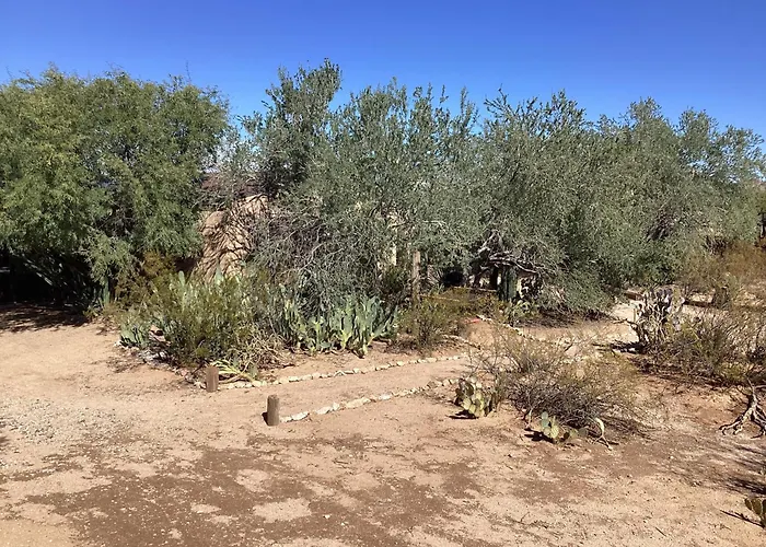 Vintage Airstream Lola Saguaro National Park Guest house Avra