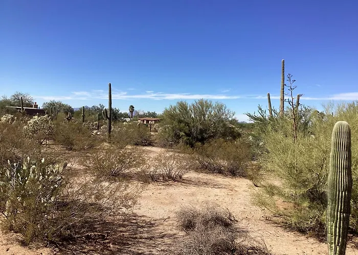 Pensjonat Vintage Airstream Lola Saguaro National Park Avra