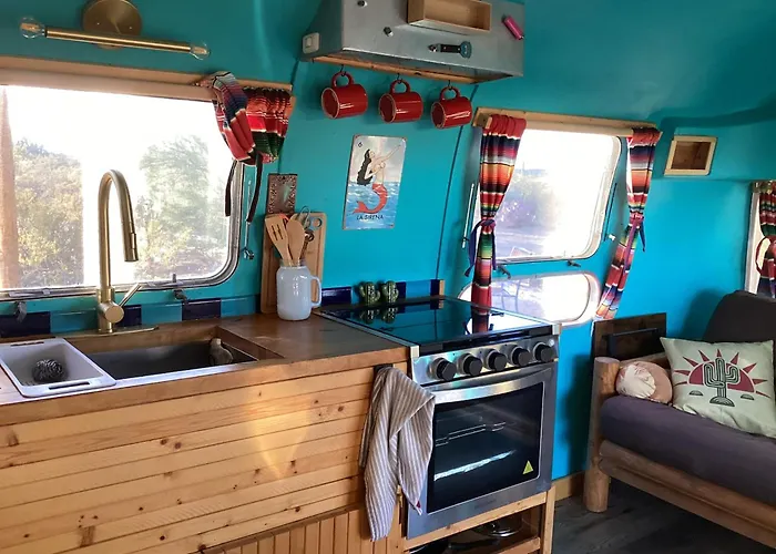 Vintage Airstream Lola Saguaro National Park 3*