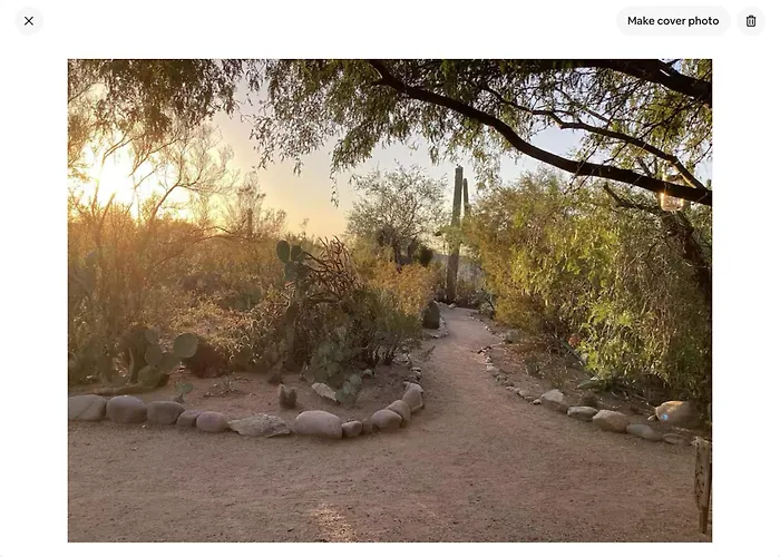 Vintage Airstream Lola Saguaro National Park Avra